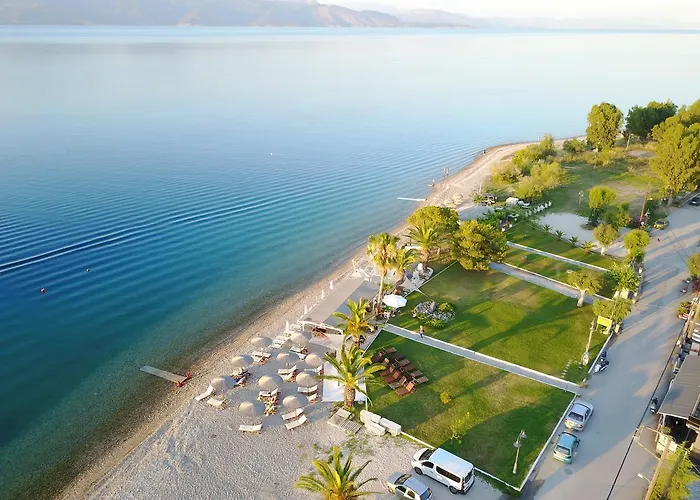 Megusta * Selianitika